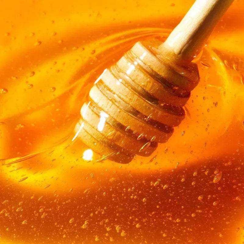 Nuxe - Honey Lip Care - GOLDFARMACI