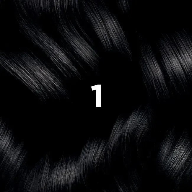 Phyto - Hair Color 1 Black Permanent Coloring - GOLDFARMACI