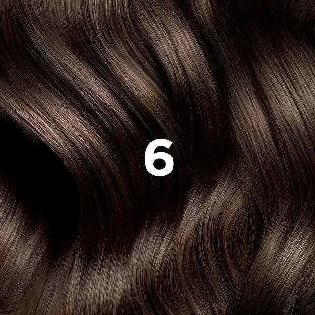 Phyto - Hair Color Dark Blond 6 - GOLDFARMACI