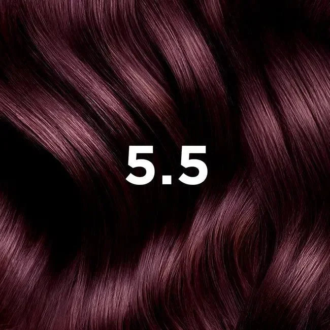 Phyto - Hair Color Light Mohangany Brown 5.5 - GOLDFARMACI