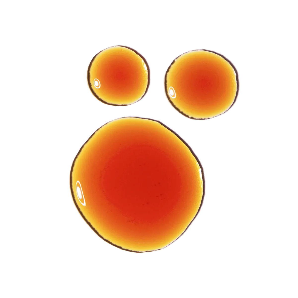 The Ordinary - Pycnogenol 5% - GOLDFARMACI