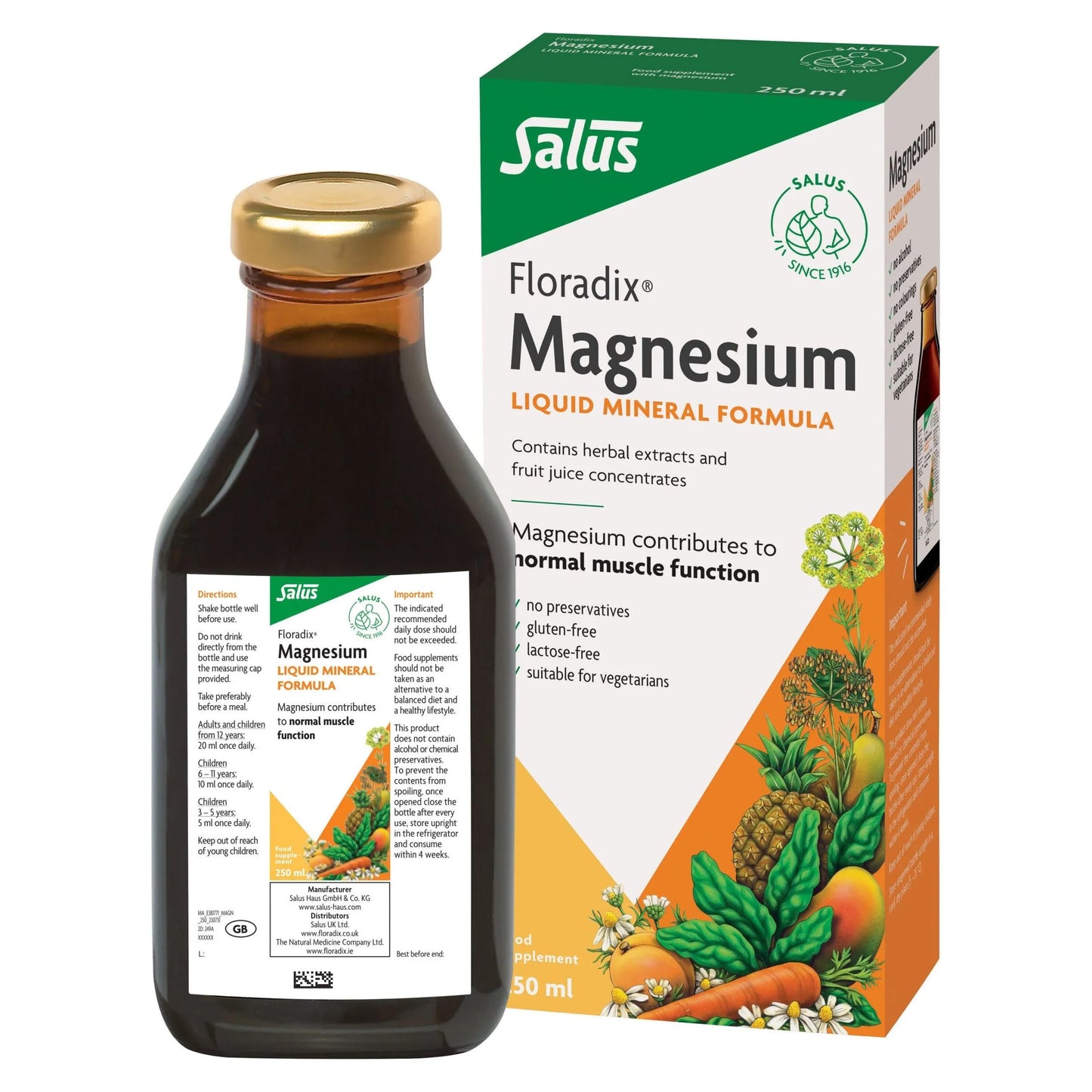 Salus Haus - Floradix Magnesium - GOLDFARMACI