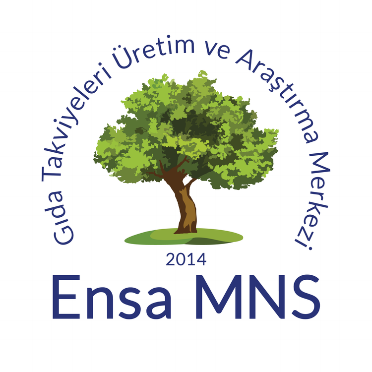 Ensa MNS logo