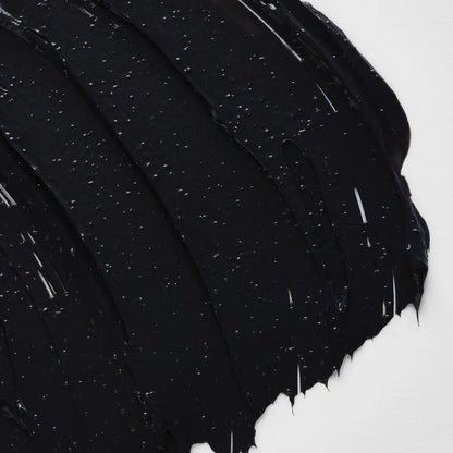 Skin Regimen - Charcoal Mask