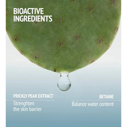 Comfort Zone - Hydramemory Face Mist - GOLDFARMACI