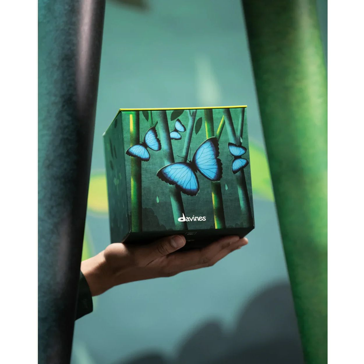 Davines Magical Rainforest set box with blue butterflies, held by hand, Goldfarmaci skincare