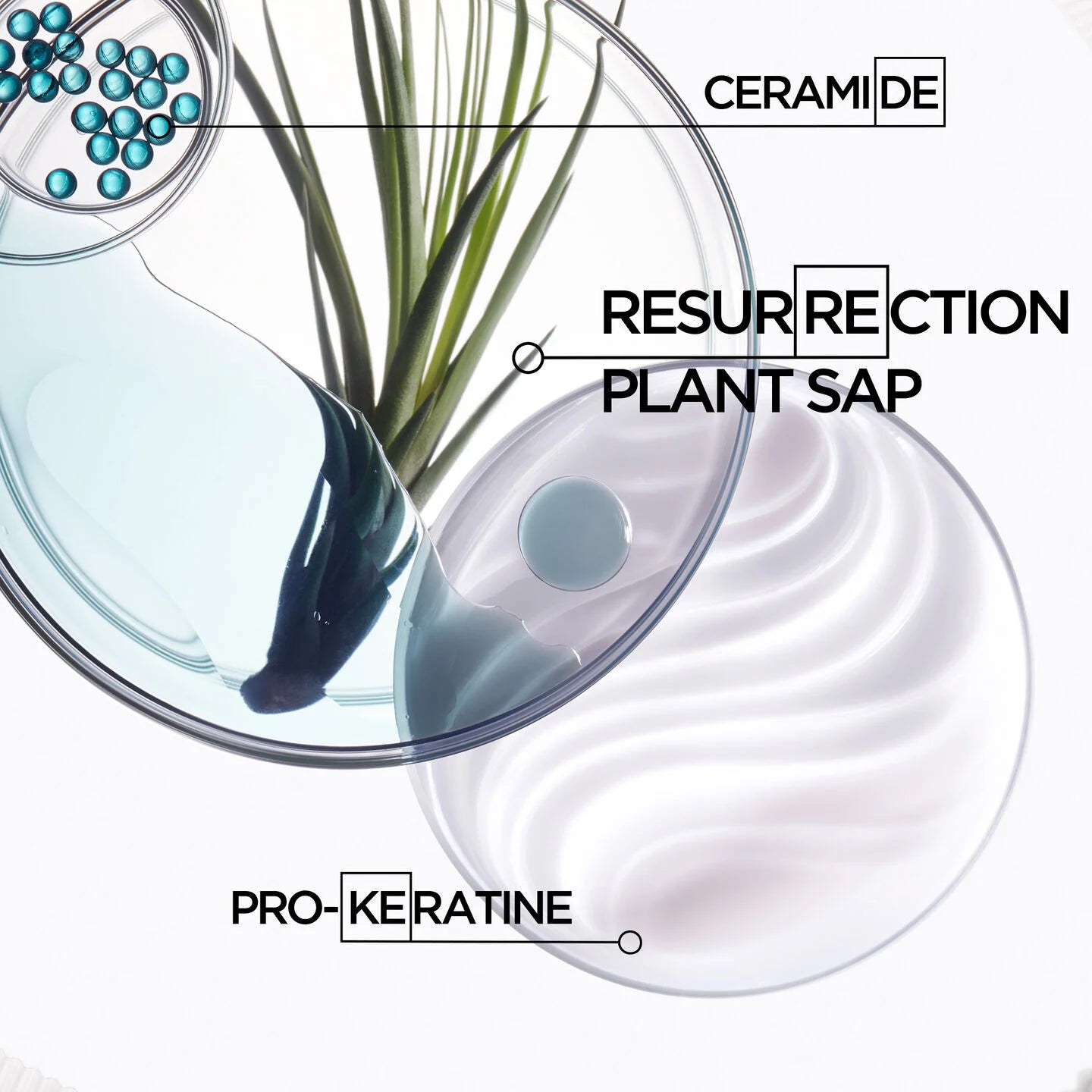 Kérastase - Résistance Bain Force Architecte – Reconstructing Shampoo for Damaged Hair