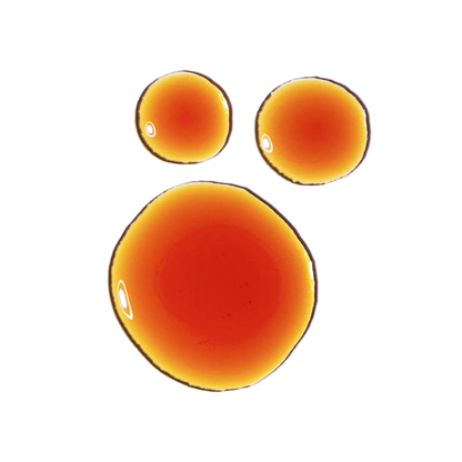 The Ordinary - Pycnogenol 5% - GOLDFARMACI