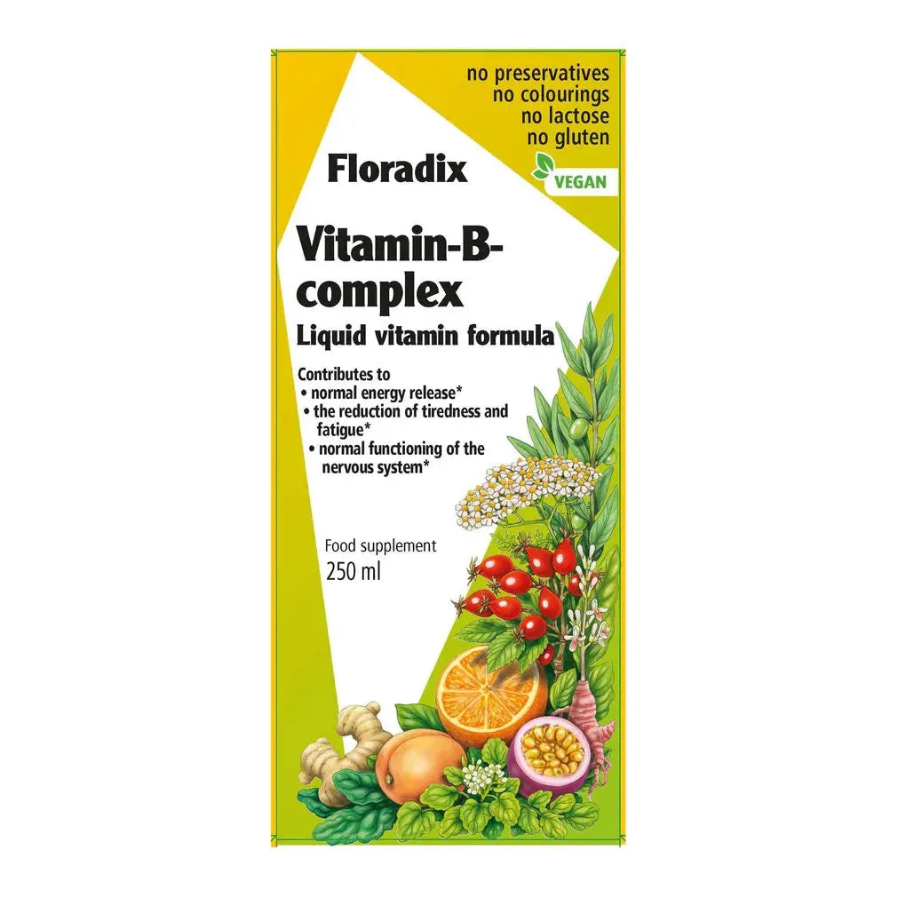 Salus Haus - Floradix Vitamin B Complex - GOLDFARMACI