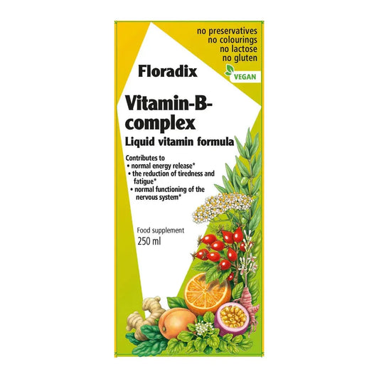 Salus Haus - Floradix Vitamin B Complex - GOLDFARMACI
