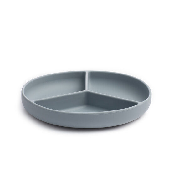 Pippeta Silicone Suction Plate