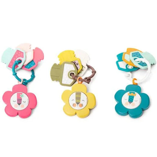 Suavinex - Musical Teether - GOLDFARMACI