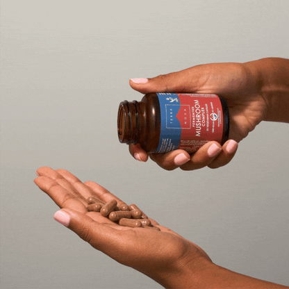 TerraNova - Fermented Mushroom Complex - GOLDFARMACI