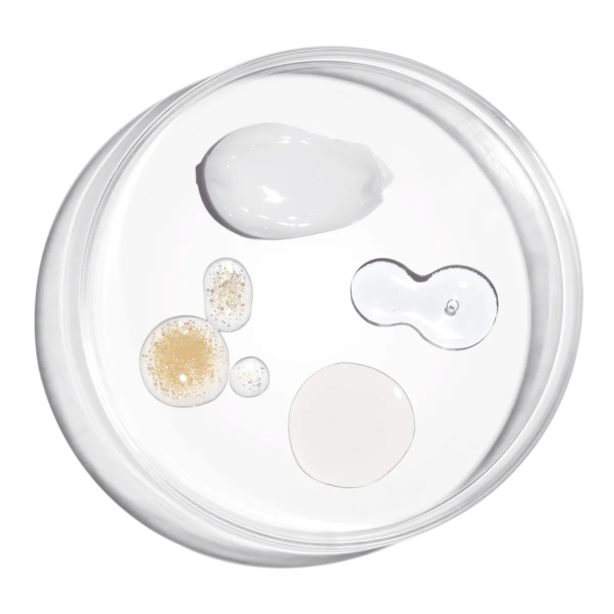 The Ordinary - The Bright Set - GOLDFARMACI