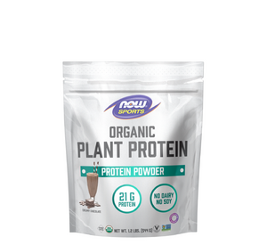 NOW - Organic Plant Protein Creamy Chocolate - 1.2 lb