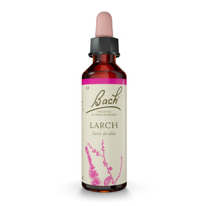 Larch Bach™ Original Flower Remedy 20 ml dropper bottle