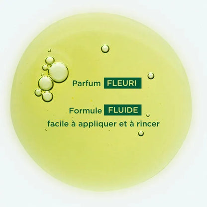 Klorane - Organic Olive Tree Shampoo - GOLDFARMACI