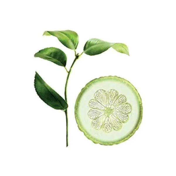 Klorane - Purifying Shampoo with Citrus - GOLDFARMACI